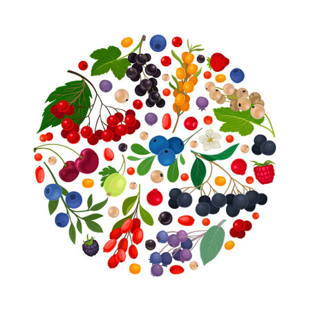 Berry Branch Round Composition Design with Sweet Tasty Garden Crop Vector Templateのイラスト素材