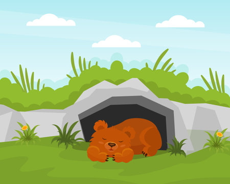 Bear Cub Sleeping at Burrow in the Forest Vector Illustrationのイラスト素材