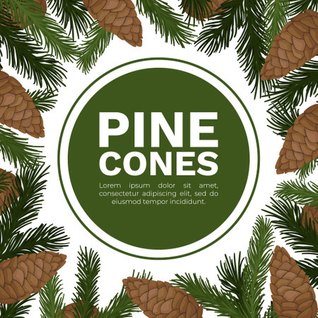 Pine Cone Banner Design with Needle Tree Branch Vector Templateのイラスト素材