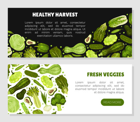 Green Vegetables Banner Design with Fresh Organic Food Vector Templateのイラスト素材