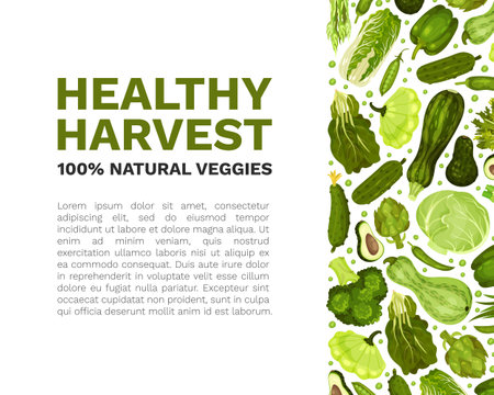 Green Vegetables Banner Design with Fresh Organic Food Vector Templateのイラスト素材