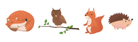 Woodland Animals with Fox, Owl, Squirrel and Hedgehog Vector Setのイラスト素材