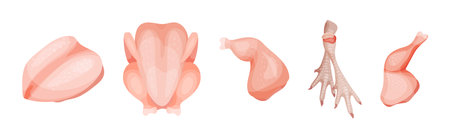 Chicken Meat Part as Farm Fresh Product Vector Setのイラスト素材