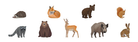 Forest Animal and Habitant with Raccoon, Deer, Bear and Boar Vector Setのイラスト素材
