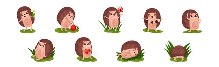 Cute Hedgehog with Prickles Engaged in Different Activity Vector Setのイラスト素材