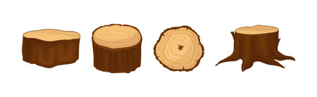 Tree Trunk or Timber Cross Section and Stump Vector Setのイラスト素材