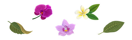 Tropical Foliage with Exotic Plant Green Leaf and Flower Vector Setのイラスト素材