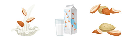 Almond Milk in Carton Pack and Raw Nut Vector Setのイラスト素材