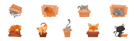 Cat and Cardboard Box Sitting Inside and Playing Vector Setのイラスト素材