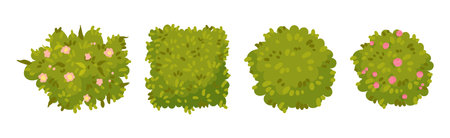 Green Bushes and Shaped Shrubs as Decorative Park Flora Vector Setのイラスト素材