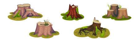 Tree Stump and Old Forest Stub on Green Grass Vector Setのイラスト素材