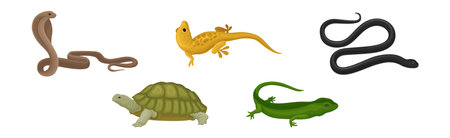 Wild Reptiles with Cobra, Turtle, Lizard and Snake Vector Setのイラスト素材