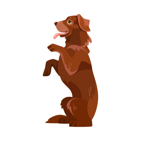 Labrador Retriever Dog Breed with Brown Coat Stand on Hind Legs Vector Illustrationのイラスト素材