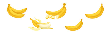 Banana as Elongated, Edible Fruit Covered with Yellow Rind Vector Setのイラスト素材