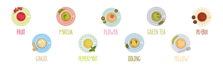 Different Herbal Tea Brewing in Cup Above View Vector Setのイラスト素材