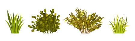 Green Bush with Leafy Stem as Outdoor Growth Vector Setのイラスト素材