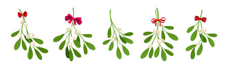 Mistletoe Green Branches with Oblong Leaves and Berries and Ribbon Bow Vector Setのイラスト素材