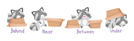 Cute Raccoon with Striped Tail and Carton Box as Prepositions of Place Demonstration Vector Setのイラスト素材