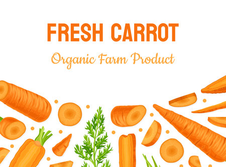 Bright Carrot Vegetable and Crop Banner Design Vector Templateのイラスト素材