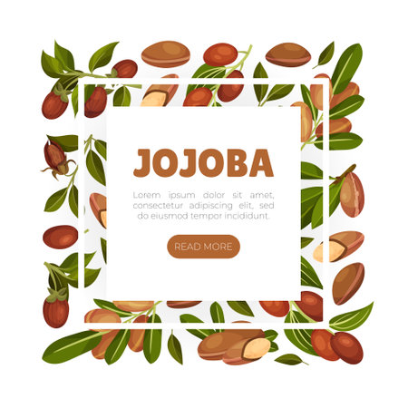 Organic Jojoba Oil Banner Design with Natural Plant Vector Templateのイラスト素材