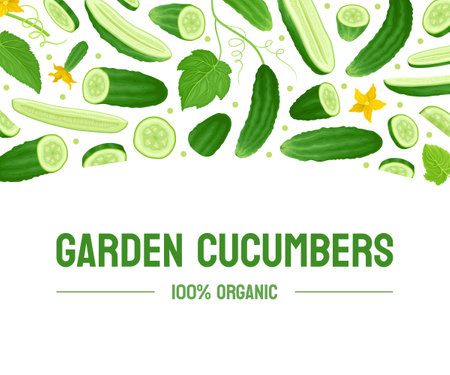 Fresh Green Cucumber Vegetable Banner Design Vector Templateのイラスト素材