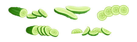 Ripe Cucumber Green Garden Vegetable Crop Vector Setのイラスト素材