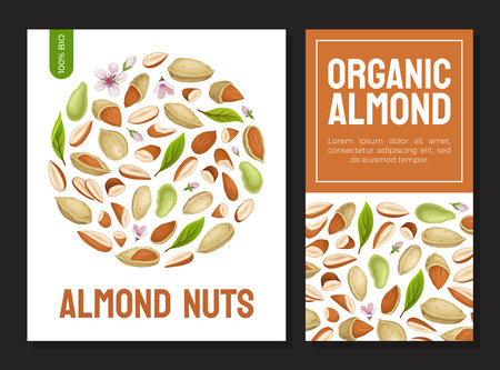 Almond Nut Banner Design with Kernel in Shell Vector Templateのイラスト素材