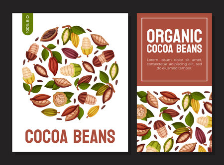 Cocoa Bean Banner Design with Brown Pod and Green Leaf Vector Templateのイラスト素材