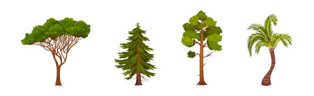 Green Trees with Lush Crown and Trunk Vector Setのイラスト素材