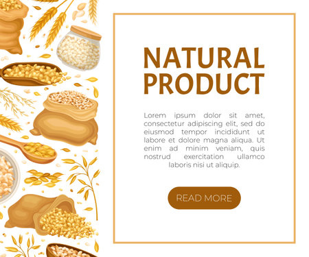 Grain Cereal Banner Design with Natural Crop Harvest Vector Templateのイラスト素材