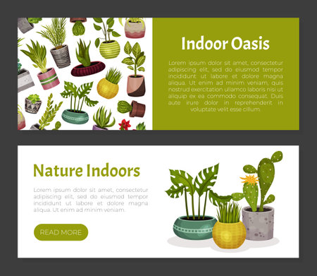 House Plant Banner Design with Pot Vector Templateのイラスト素材