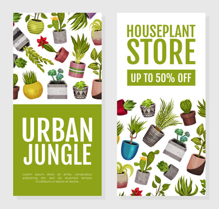 House Plant Banner Design with Pot Vector Templateのイラスト素材