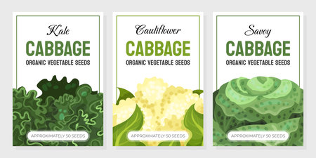 Cabbage Vegetable Banner Design with Crop Vector Templateのイラスト素材