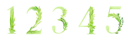 Number Decorated with Green Foliage and Leaf Vector Setのイラスト素材