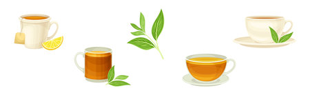 Tea Brewing with Green Leaf and Cup Vector Setのイラスト素材