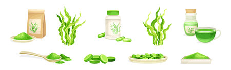 Spirulina Green Organic Healthy Food Supplement Vector Setのイラスト素材