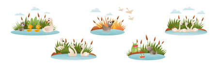 Ugly Duckling Fairy Tale with Little Birdie Vector Setのイラスト素材