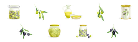 Olives with Oil Glass Jug, Canned Jar and Branch Vector Setのイラスト素材