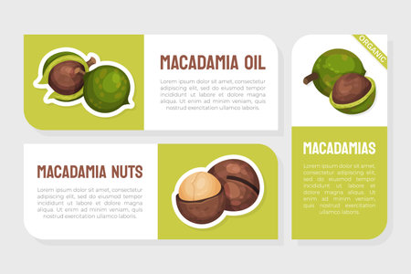 Macadamia Nut Product Label with Kernel and Shell Vector Templateのイラスト素材