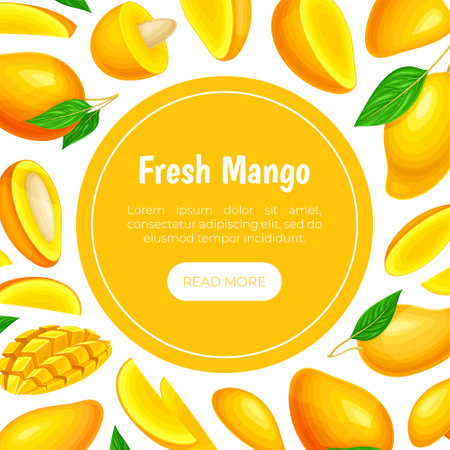 Fresh Mango Banner Design with Bright Tropical Food Vector Templateのイラスト素材