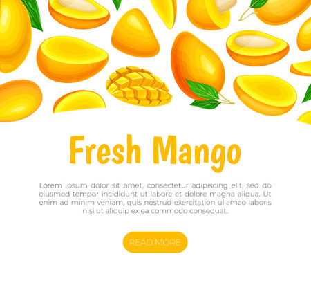 Fresh Mango Banner Design with Bright Tropical Food Vector Templateのイラスト素材