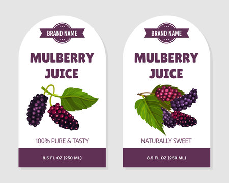 Mulberry Juice Sticker or Label Design with Garden Fruit Growing Vector Templateのイラスト素材