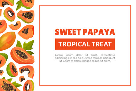 Papaya Fruit Banner Design with Cut Section with Seeds and Orange Pulp Vector Templateのイラスト素材