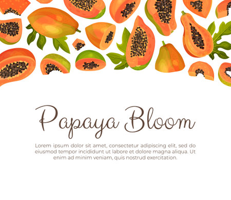 Papaya Fruit Banner Design with Cut Section with Seeds and Orange Pulp Vector Templateのイラスト素材