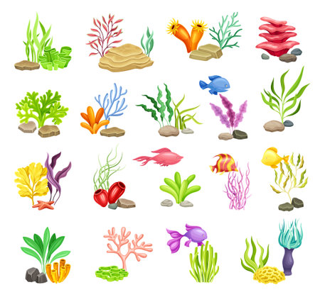 Colorful Sea Bed and Ocean Bottom with Algae and Stone Vector Setのイラスト素材
