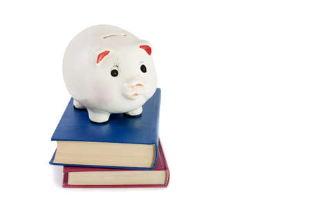 Piggy bank and books isolated  on white backgroundの写真素材