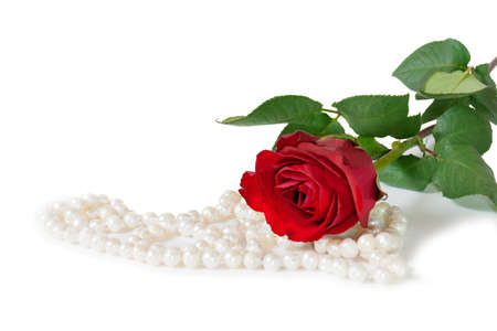 Red rose with pearl bijouterie necklace on white background.の写真素材