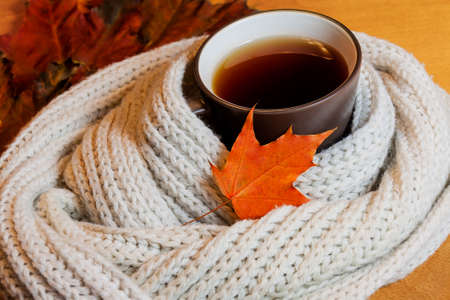 Autumn time: cup of hot tea  and scarfの写真素材