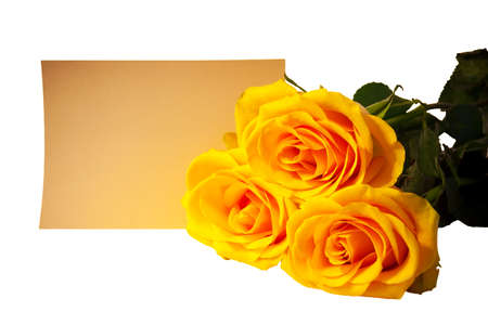 Bouquet of yellow roses with empty card on white background. Selective focusの写真素材