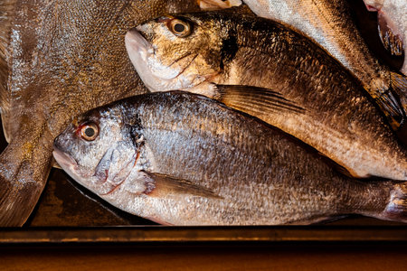 Fresh uncooked dorado fish. Selective focus